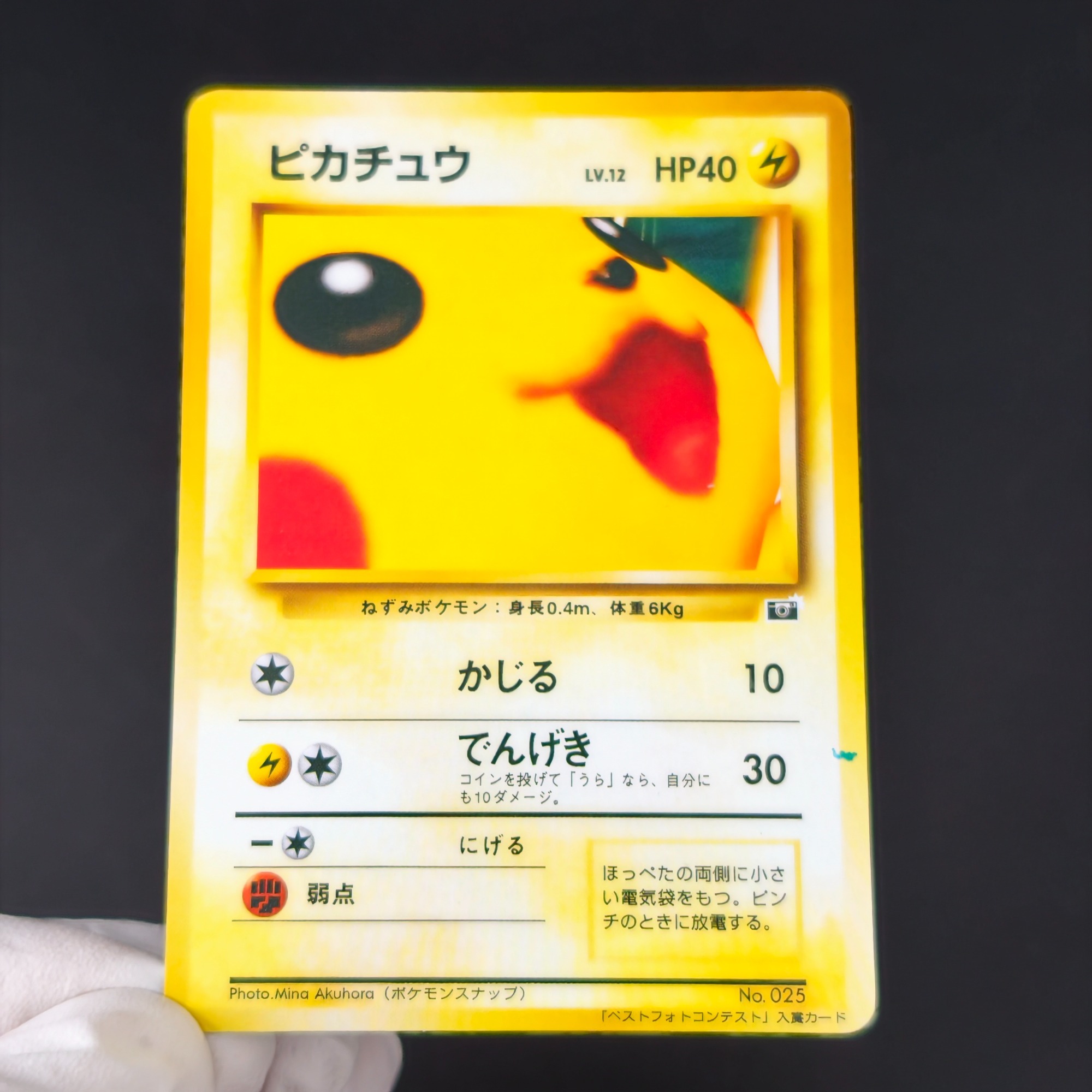 Retro Gaming Pokemon - 10 cartes de collection Pokémon vintage
